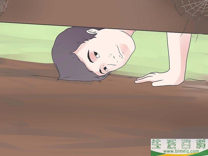 怎么驱除黑寡妇蜘蛛