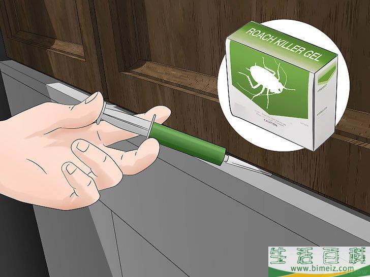 怎么杀灭德国蟑螂