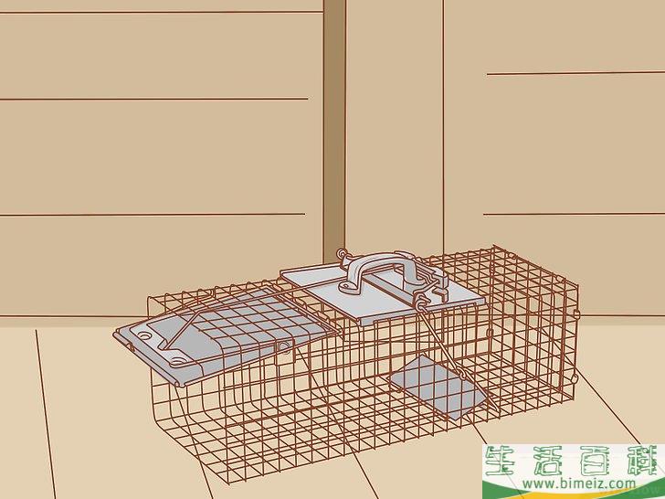怎么驱除阁楼中的松鼠