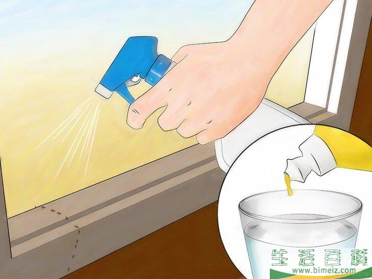 怎么不用杀虫剂消灭蚂蚁