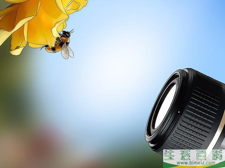 怎么摆脱蜜蜂