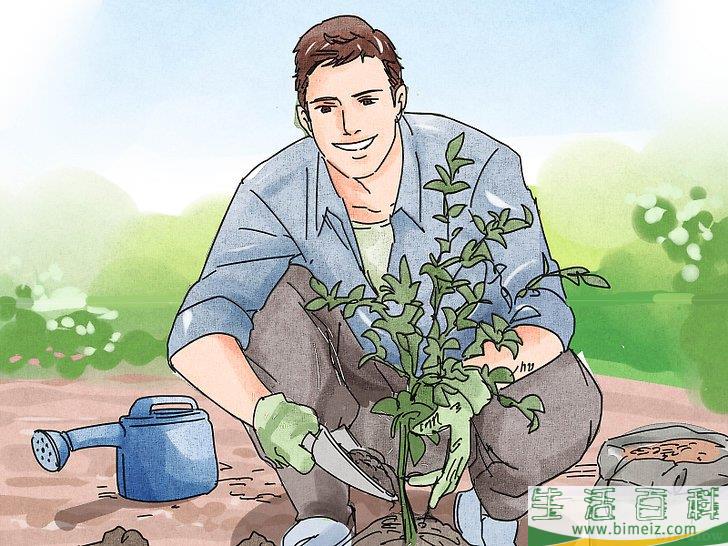 怎么处理生活垃圾