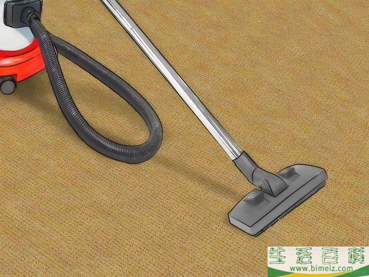 怎么用天然方法消灭跳蚤