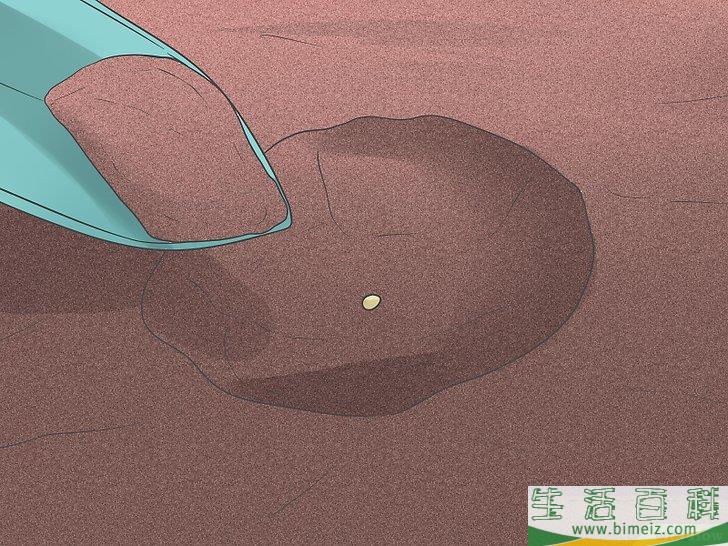 怎么种植花椰菜