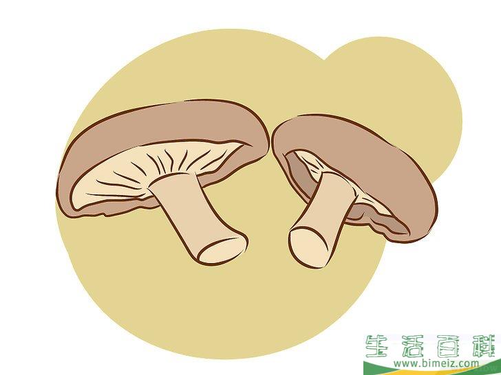 怎么种植食用菌