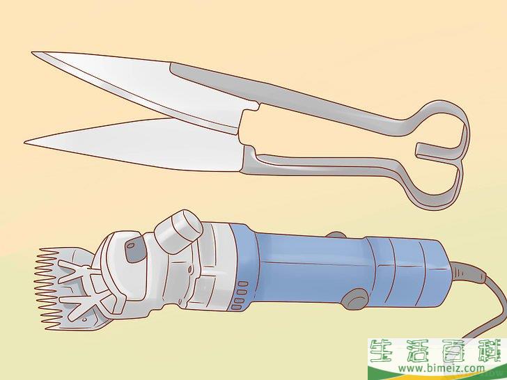 怎么修剪羊毛