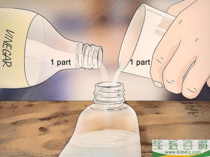 怎么消灭臭虫