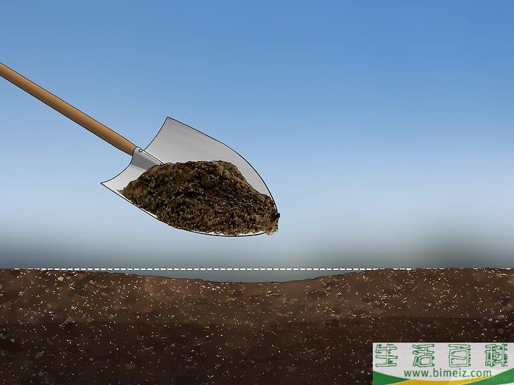 怎么用草籽种草