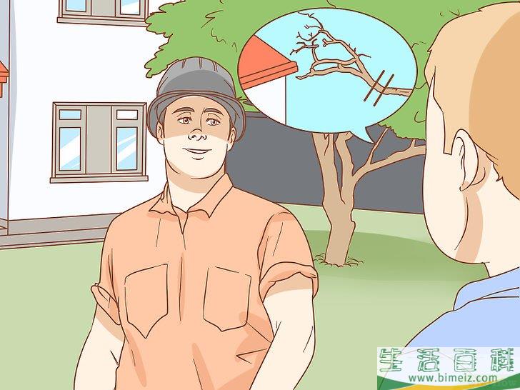 怎么驱除阁楼中的松鼠