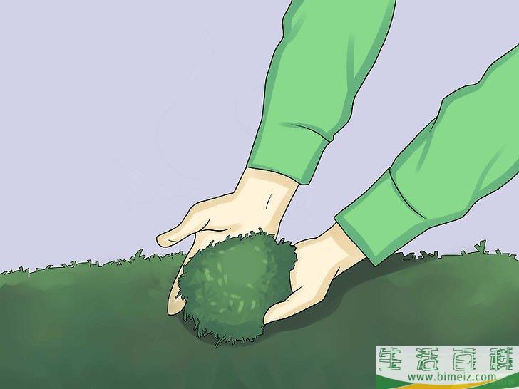 怎么移除常春藤植物