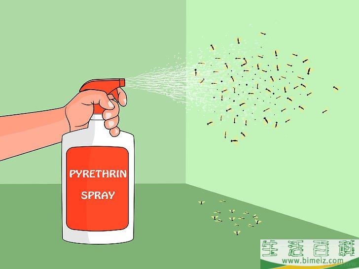 怎么去除果蝇