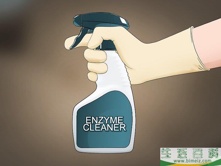怎么除去沙发上的尿液