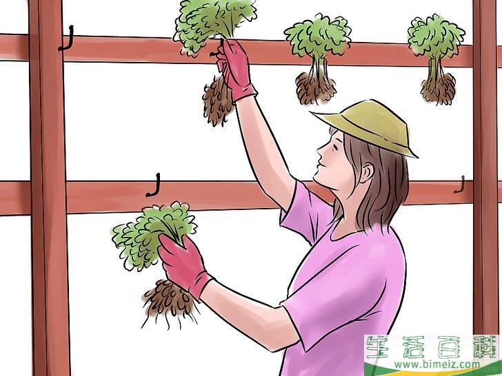 怎么种花生