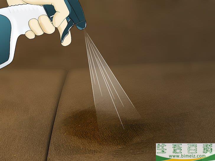 怎么除去沙发上的尿液