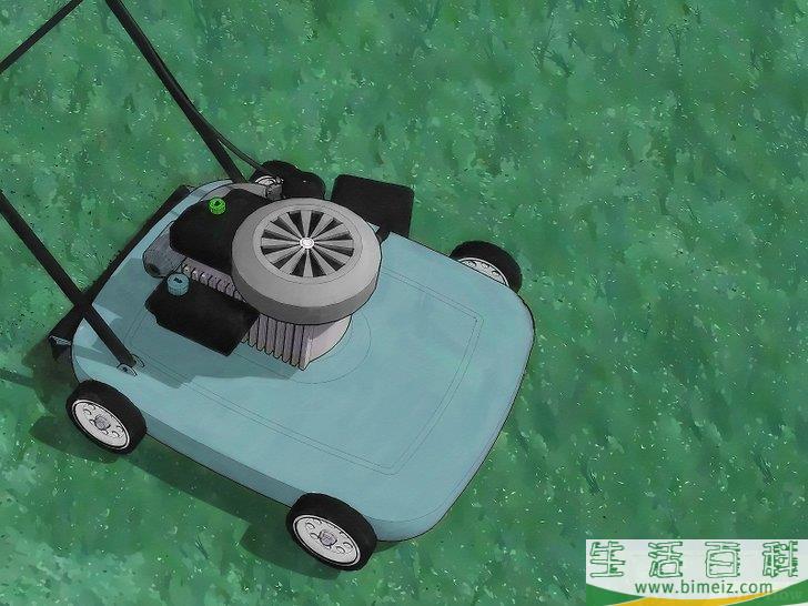 怎么用天然方法消灭跳蚤