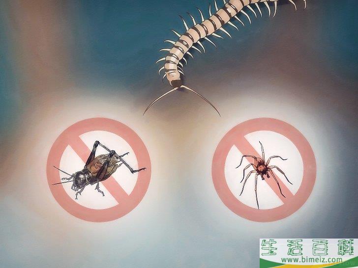 怎么摆脱蜈蚣