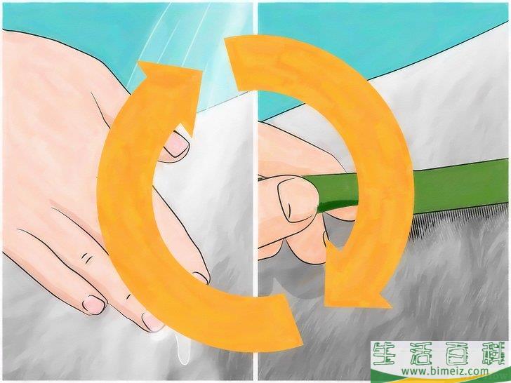 怎么用天然方法消灭跳蚤