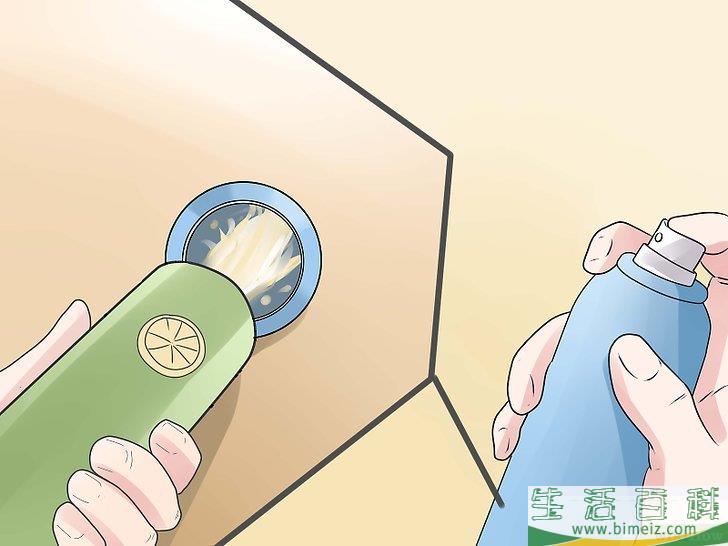 怎么驱除黑寡妇蜘蛛