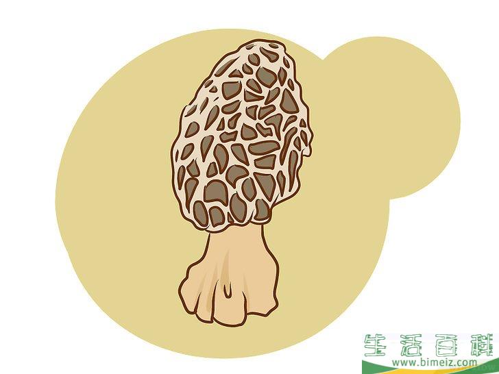 怎么种植食用菌