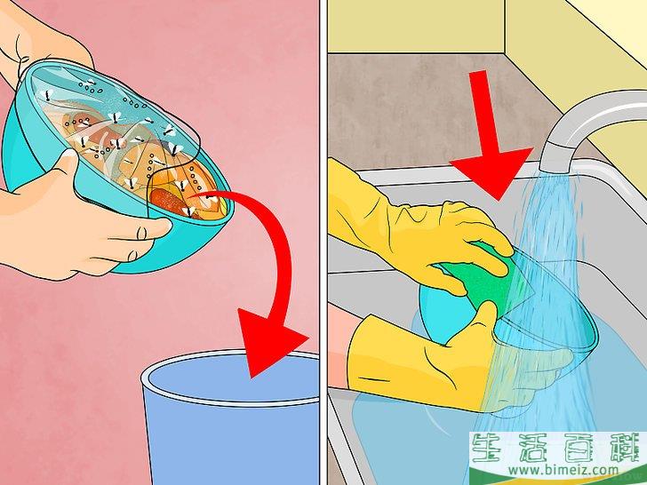 怎么去除果蝇
