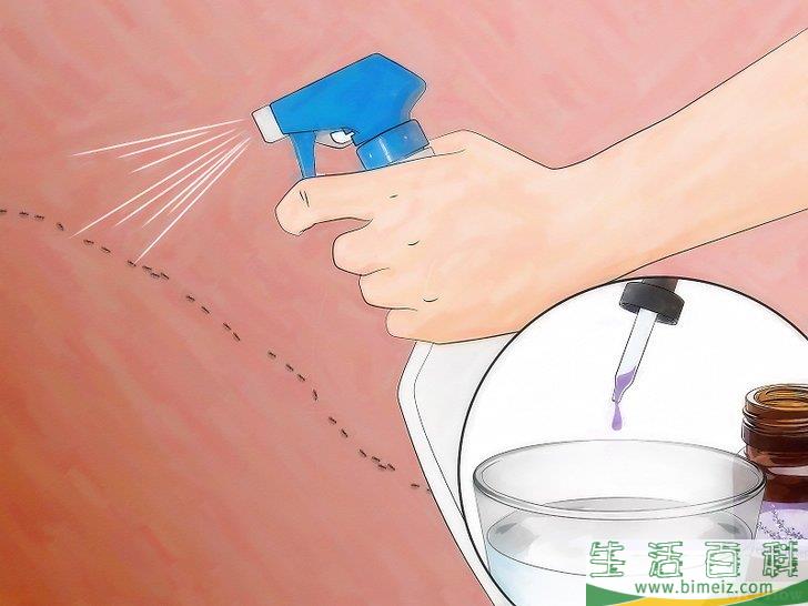 怎么不用杀虫剂消灭蚂蚁