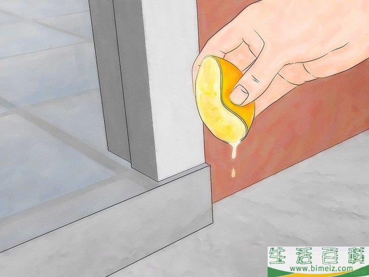 怎么不用杀虫剂消灭蚂蚁