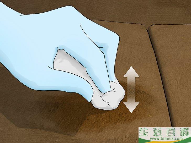 怎么除去沙发上的尿液