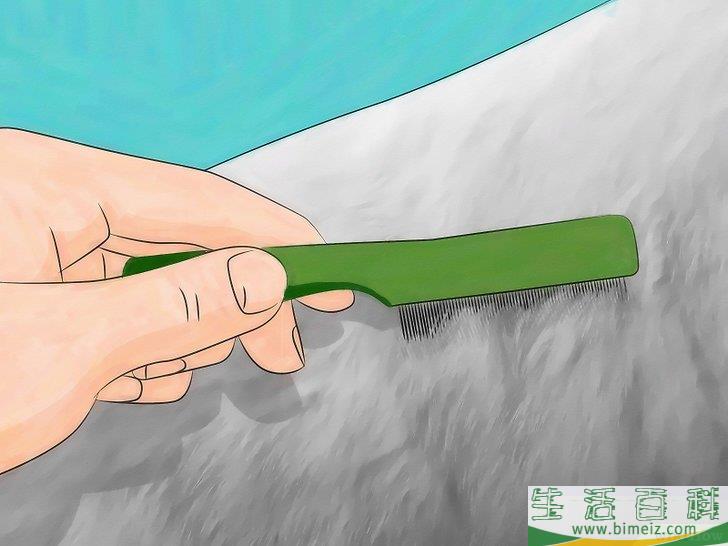 怎么用天然方法消灭跳蚤