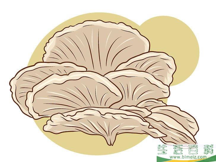 怎么种植食用菌