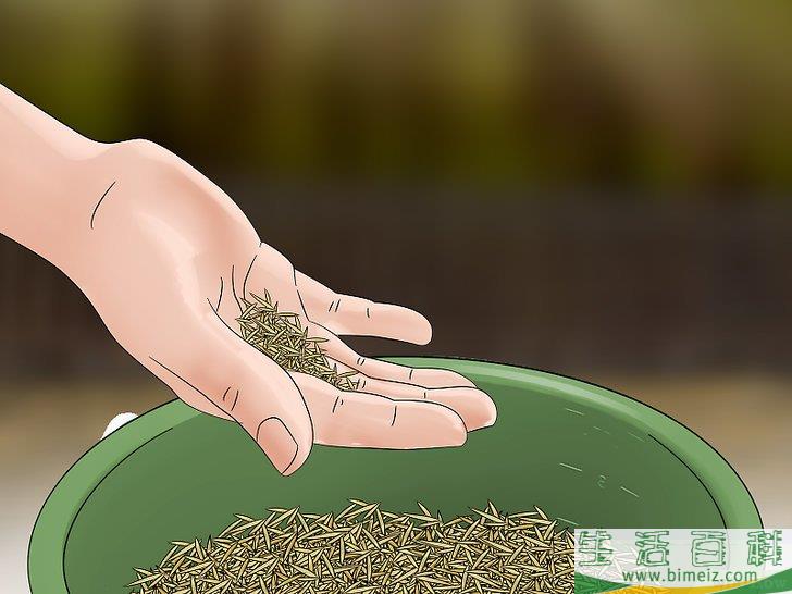 怎么用草籽种草