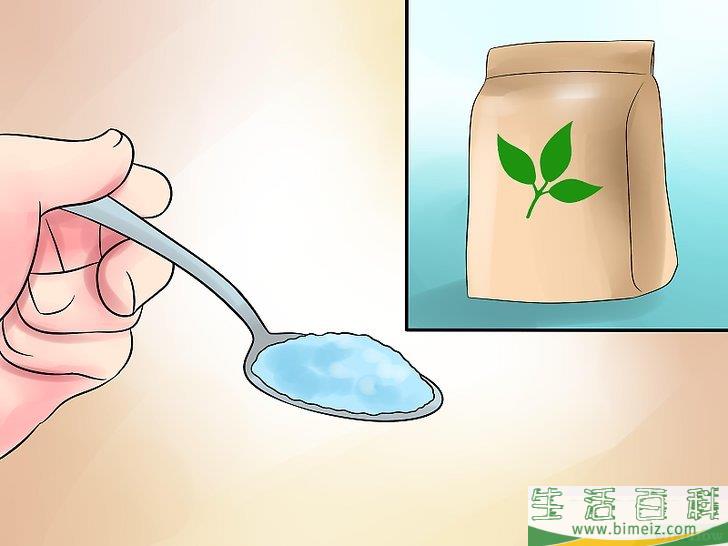怎么移植棕榈树