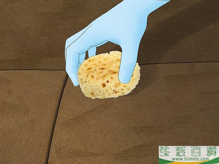怎么除去沙发上的尿液
