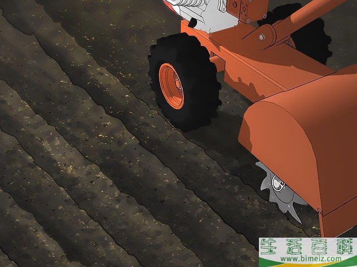 怎么用草籽种草
