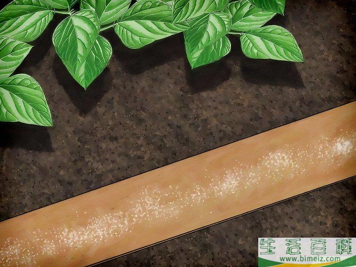 怎么清除蛞蝓（无壳蜗牛）