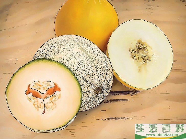 怎么种植甜瓜