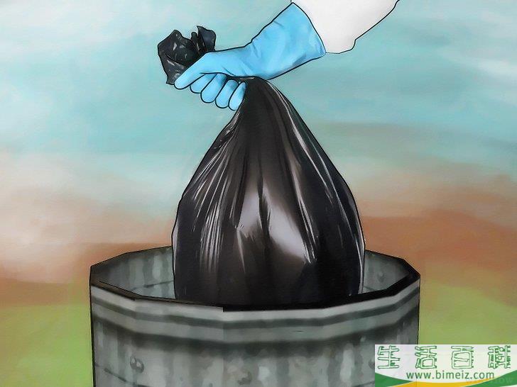 怎么消灭地毯里的跳蚤
