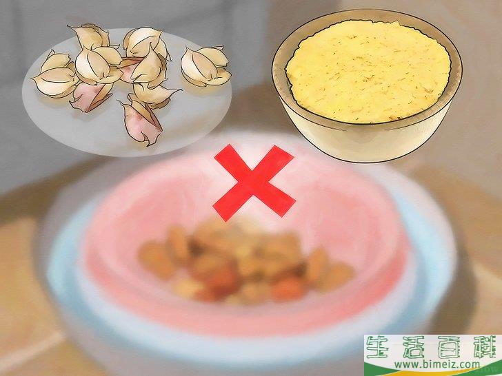 怎么消灭地毯里的跳蚤