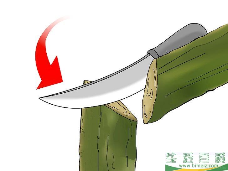 怎么嫁接树