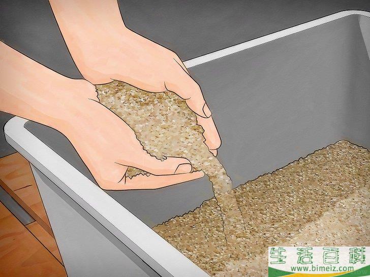 怎么去除霉味