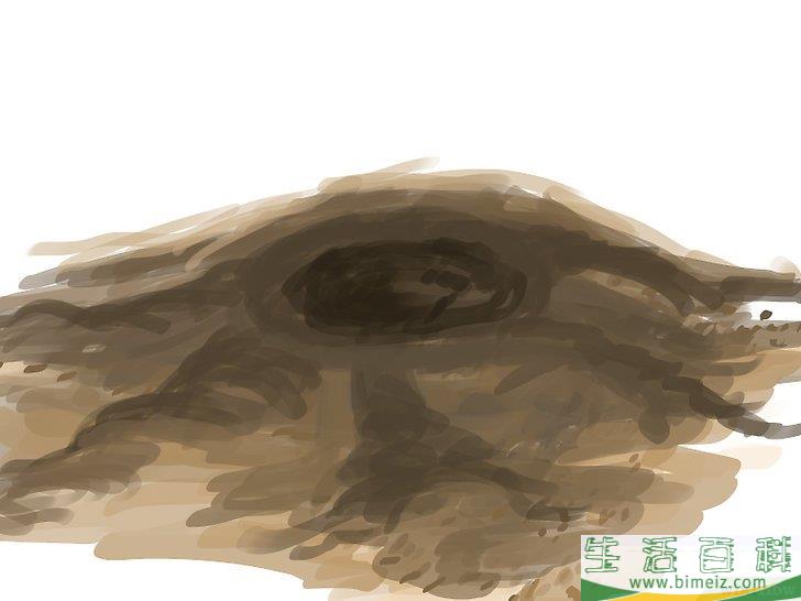 怎么种橄榄