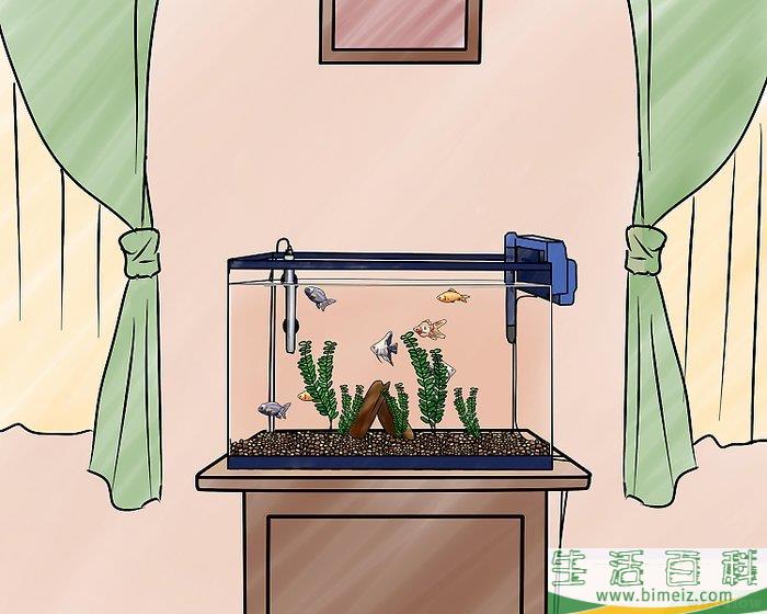 怎么组装淡水水族箱