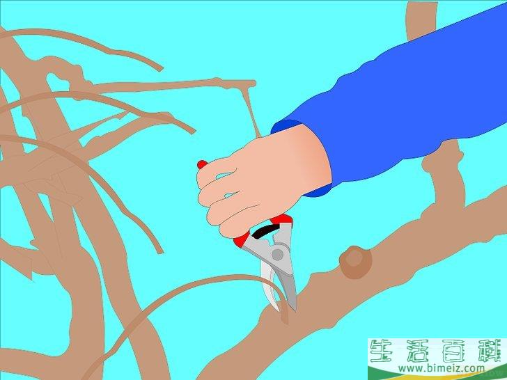 怎么赶跑松鼠