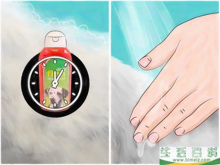 怎么消灭房间里的跳蚤和蜱虫
