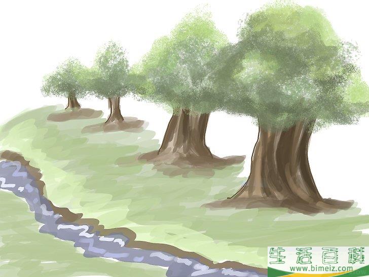 怎么种橄榄
