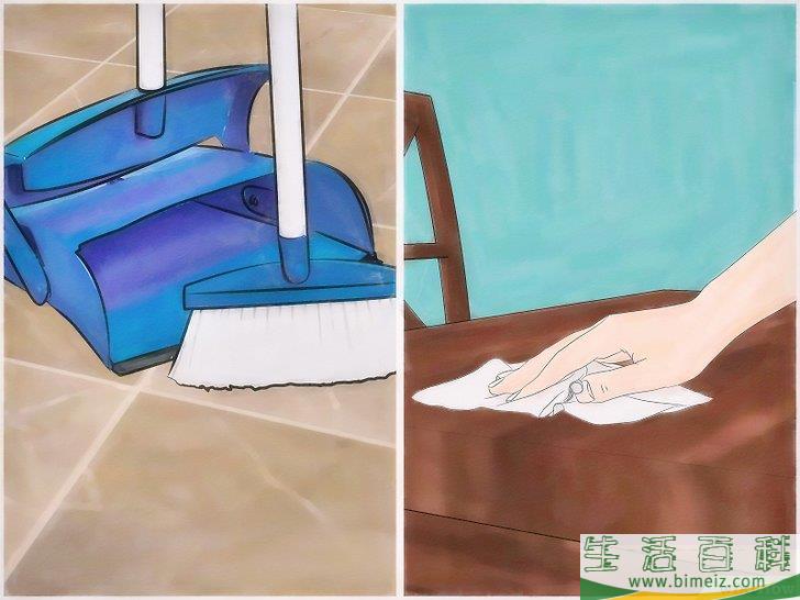 怎么清除木蚁