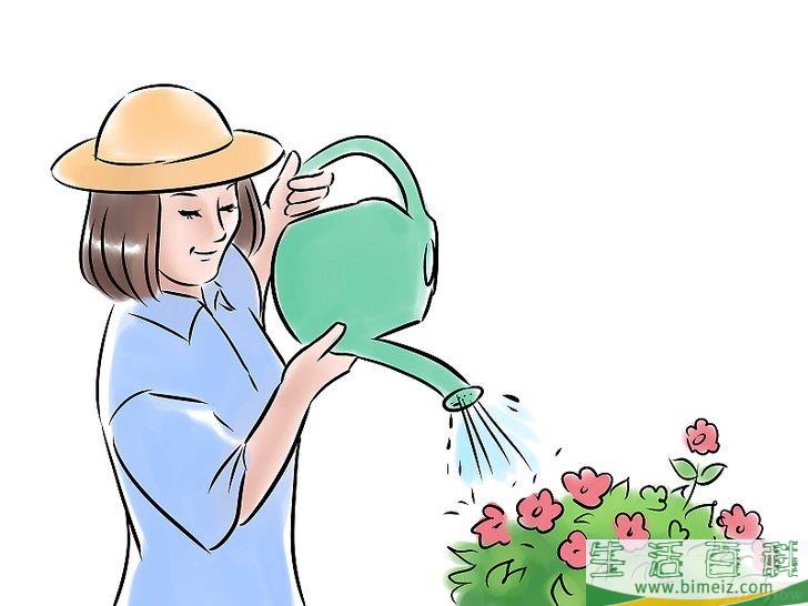怎么种出一个花园