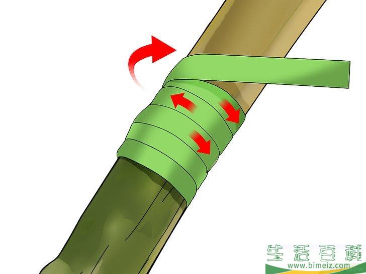 怎么嫁接树