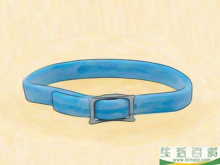 怎么消灭地毯里的跳蚤