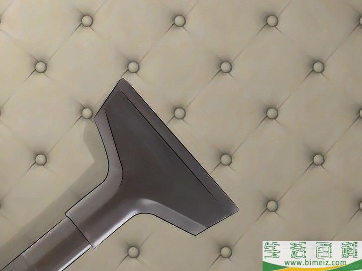 怎么消灭地毯里的跳蚤