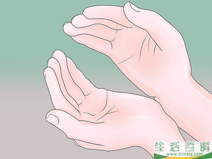 怎么捕捉苍蝇